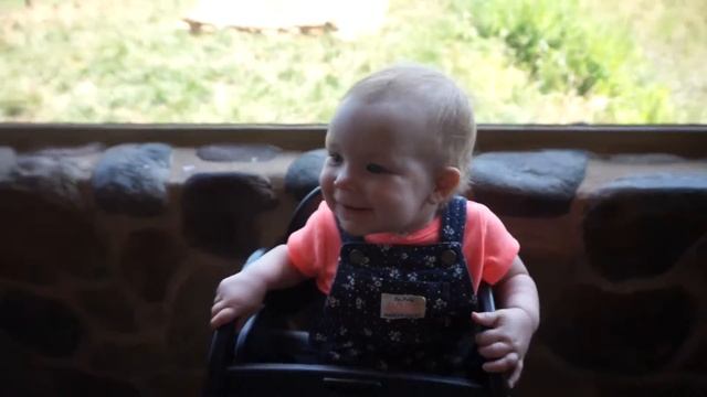 BABY HUMAN REACTS TO BABY ANIMALS! смотреть онлайн