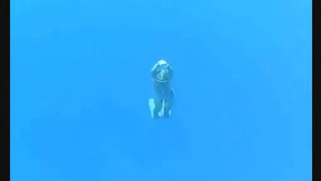 Сплин Рыба без трусов смотреть онлайн