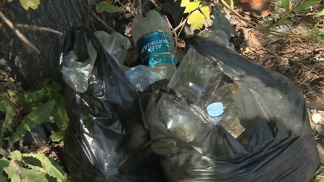 ЭКО-РЕЙД. С первого июля в Казахстане ужесточено наказание за загрязнение окружающей среды. смотреть онлайн