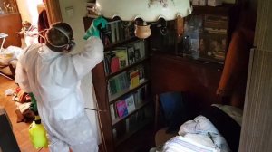 Уничтожение клопов горячим паром в домашних условиях