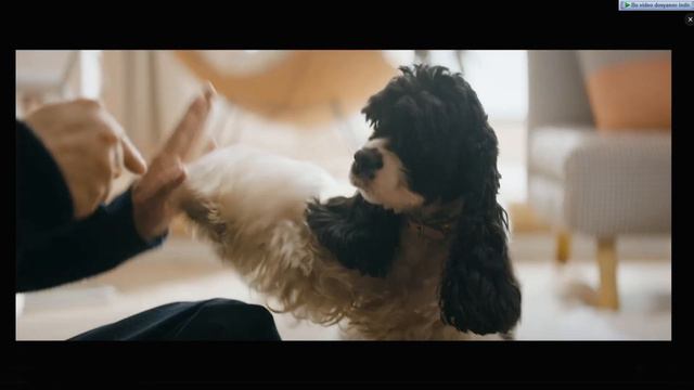 MIUI 14 Tanıtıldı !!! İşte Tüm Detaylar.. смотреть онлайн