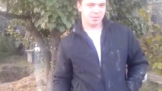 СОЛЁНЫЕ ГОРЧИЧНИКИ смотреть онлайн