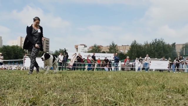 Видеоотчёт II. «ТЕРРИТОРИЯ САО» (2019) смотреть онлайн