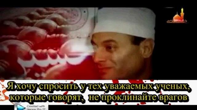 Шахид Хасан Шехата, об открытом проклятии в адрес врагов Халяль Бейт (мир им) смотреть онлайн