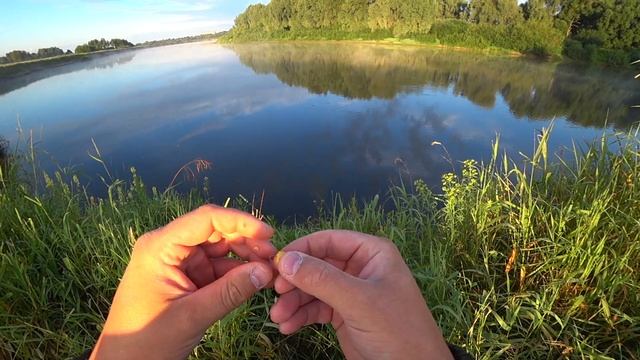 Немного о полудонке, выборе места для рыбалки! Река Днепр вблизи г. Рогачёва! смотреть онлайн