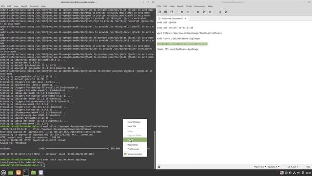 How to install NetBeans 12 on Linux Mint 20 смотреть онлайн