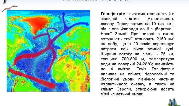 Атлантичний океан. Рослинний і тваринний світ смотреть онлайн