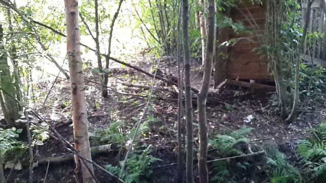 Купил участок. Обхожу свои владения смотреть онлайн