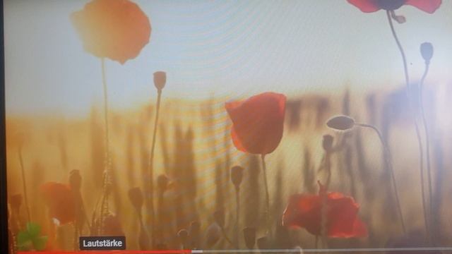 31. Mai 2023 смотреть онлайн