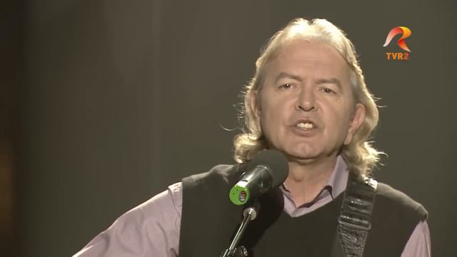 Ducu Bertzi - Balada Firului De Iarbă