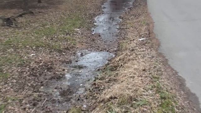 Кошмарный Уссурийск, сити менеджер Корж смотреть онлайн