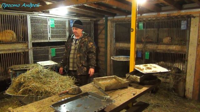 ЧТО нужно знать при кормление сеном нутрий смотреть онлайн