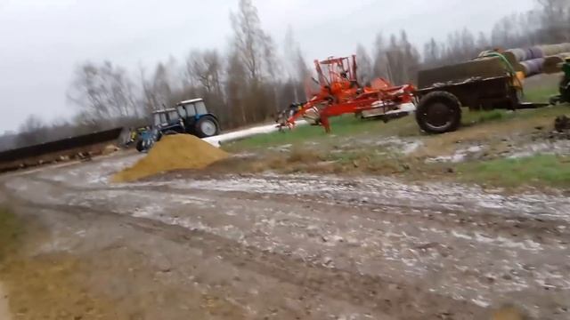 Новая поилка у телят, феншуй у бычков смотреть онлайн