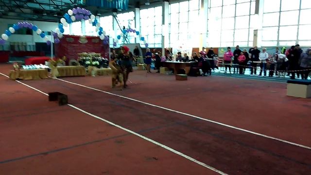 Выставка лидер ит 2015 танец с собакой смотреть онлайн