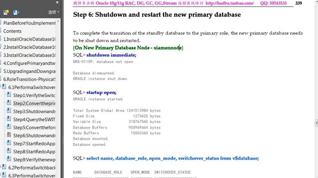 06.01 Oracle 10gR2 DataGuard 6.1 Perform a Switchover with shanghainode and xiamennode смотреть онлайн