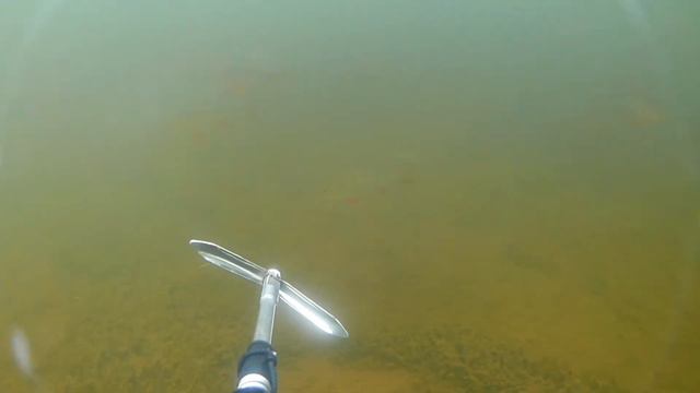 Подводная охота на кольском смотреть онлайн