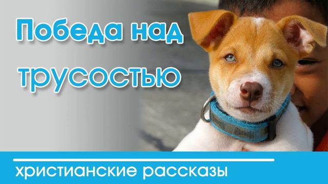🔴 «Победа над трусостью» христианский рассказ смотреть онлайн