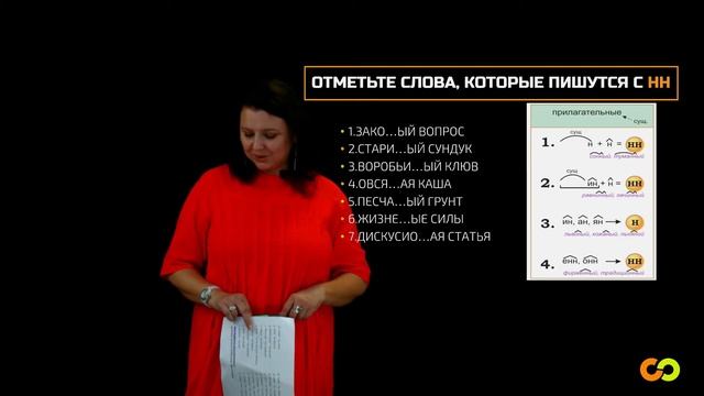 Промоурок по русскому языку на тему: "Н или НН: вот в чем вопрос?" смотреть онлайн