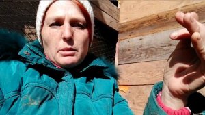 10 Секретов Козоводства для Новичков! содержание коз и кормление  с 0!