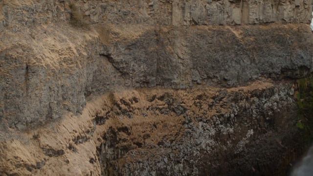 Prehistoric Planet [2022] - Velociraptors Screen Time