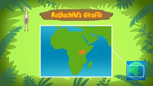 Rothschild's Giraffe - Leo The Wildlife Ranger Animal Diaries | Animal Facts For Kids