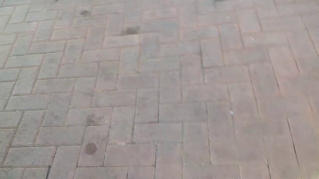 2016 Renault Clio 1.2 16 v Dynamique Nav смотреть онлайн