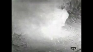 Тени старого замка. Выпуск 4