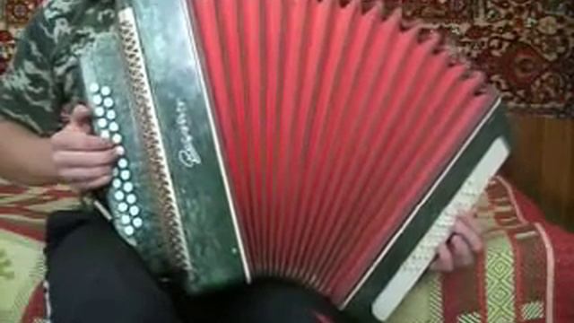 Горіла сосна (гармонь) смотреть онлайн