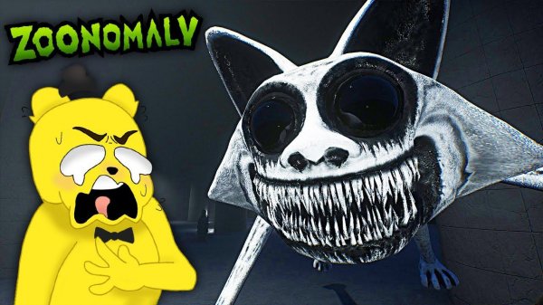 Кэтнэп на Максималках Zoonomaly Финал