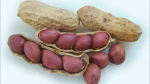 ПОЛЕЗНЫЕ СВОЙСТВА ОРЕХОВ