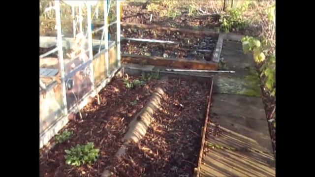 Jim's Allotment - Plot 9 - December Tour Part 4 - Greenhouse Bed Preparation смотреть онлайн