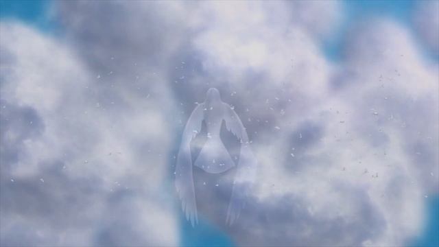 Sound To Scare Pigeons Away - ONE HOUR PIGEON VERSION