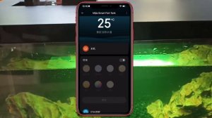 Не покупайте аквариум xiaomi