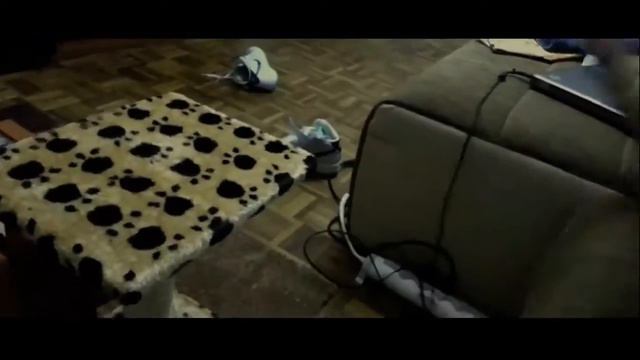 Прикольные животные Самые смешные приколы с котами 2013 смотреть онлайн