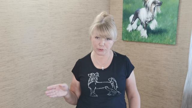 Ошибки владельцев собак / Китайская хохлатая или как не вырастить монстрика смотреть онлайн