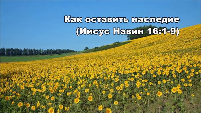 Тихое время с Живой Жизнью: Иисус Навин 16:1–10 (130816 ) смотреть онлайн