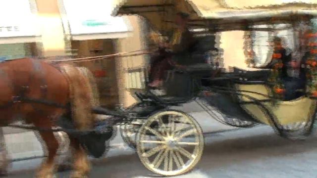 HORSE CARES DRESDEEN GERMANY / ЛОШАДИНЫЕ КАРЕТЫ ДРЕЗДЕН ГЕРМАНИЯ смотреть онлайн