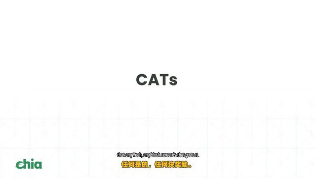 【Chia In China】Bram Talks About Building On Chialisp!