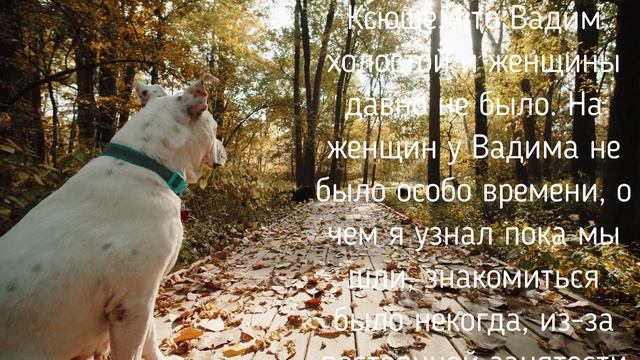 Жена положила глаз на квартиранта. История из жизни! смотреть онлайн