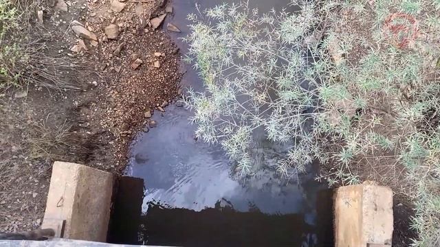 Планомерная работа по ликвидации ЧС идет в Приморье смотреть онлайн