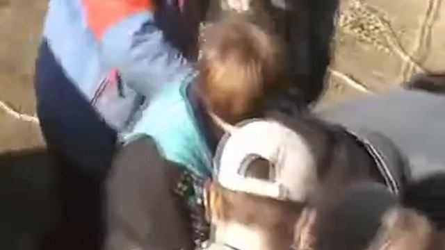 Перемещение малька карпа в зимовалы. Рыбное хозяйство "Припичень", Молдова. смотреть онлайн