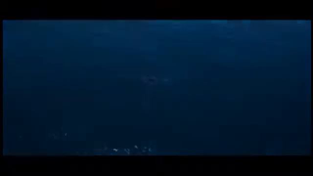 Reef смотреть онлайн