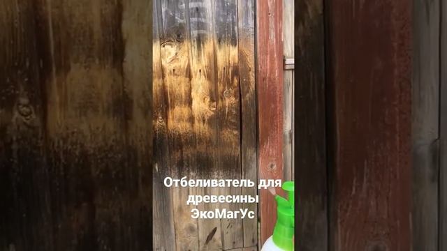 Отбеливатель Для древесины ЭкоМагУс смотреть онлайн
