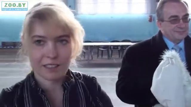 Большой Best. Победитель! смотреть онлайн