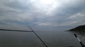 MAJOR CRAFT SOUL STICK  на трофейной рыбалке!!!!