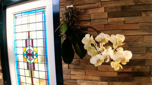 Prachtige Phalaenopsis stuartiana смотреть онлайн
