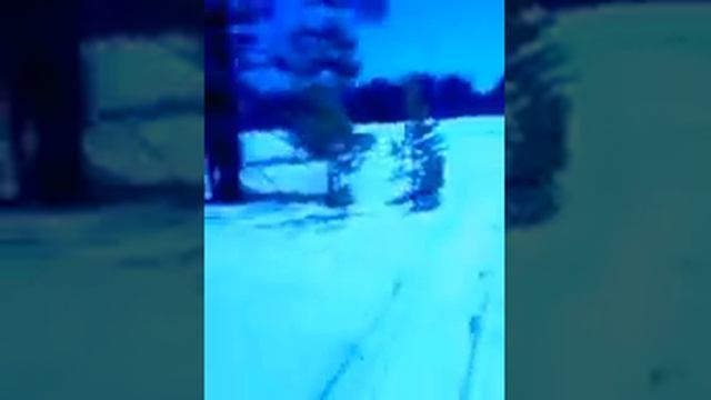 НЕ ПОВТОРЯТЬ. ОПАСНО, Коротко о том как я выбил зуб. смотреть онлайн