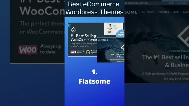 Best eCommerce Wordpress Themes смотреть онлайн