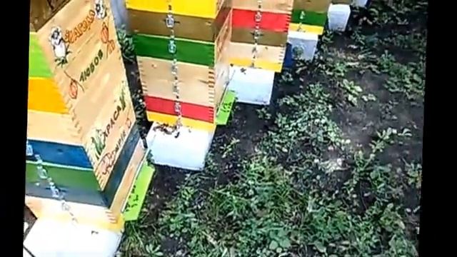 Подставки под альпийские ульи смотреть онлайн