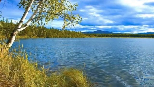 Тополя, тополя в город мой влюбленные смотреть онлайн